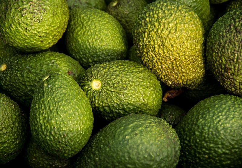 Avocado and Honey